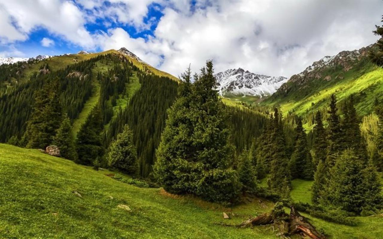 Дом в горах Алтын Арашан Teploklyuchenka Экстерьер фото