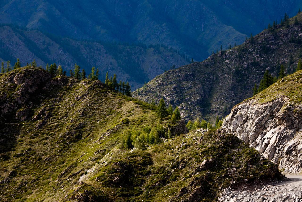 Дом в горах Алтын Арашан Teploklyuchenka Экстерьер фото