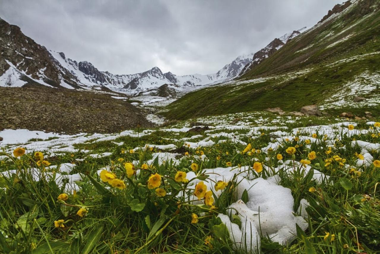 Дом в горах Алтын Арашан Teploklyuchenka Экстерьер фото